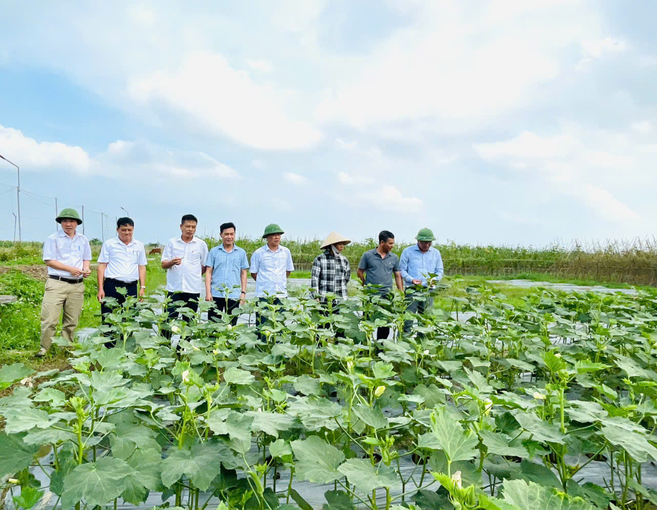 Đồng chí Bí thư Đảng ủy xã Xuân Lập kiểm tra tình hình sản xuất nông nghiệp và khảo sát tuyến kè đường 3 quốc lộ