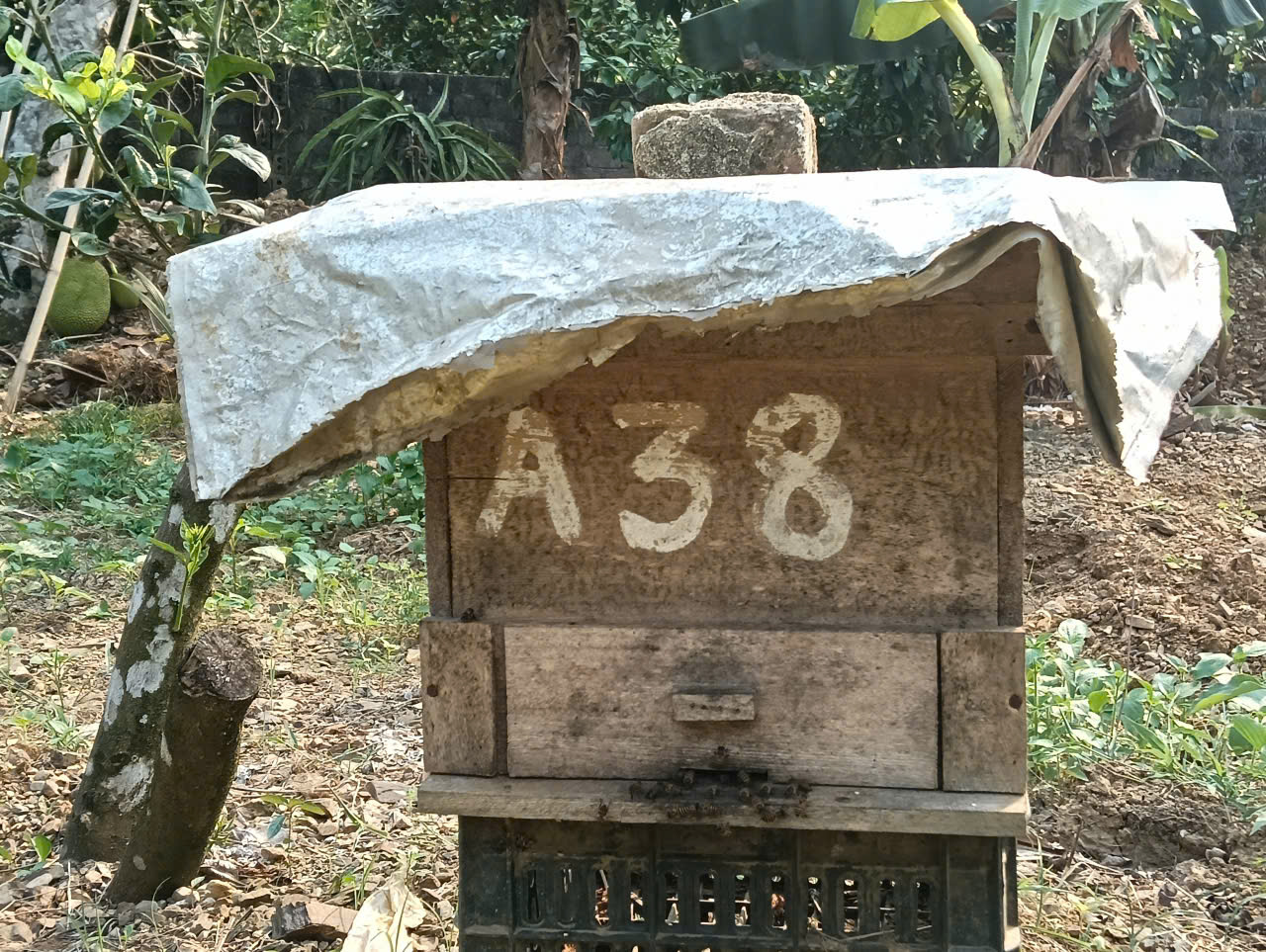 Picture 4