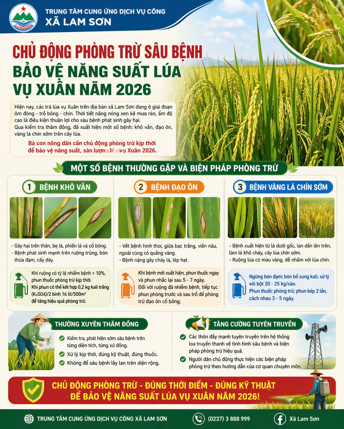 Chủ động phòng trừ sâu bệnh, bảo vệ năng suất lúa vụ Xuân năm 2026