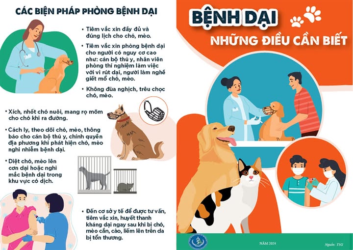 Chủ động các biện pháp phòng tránh bệnh dại