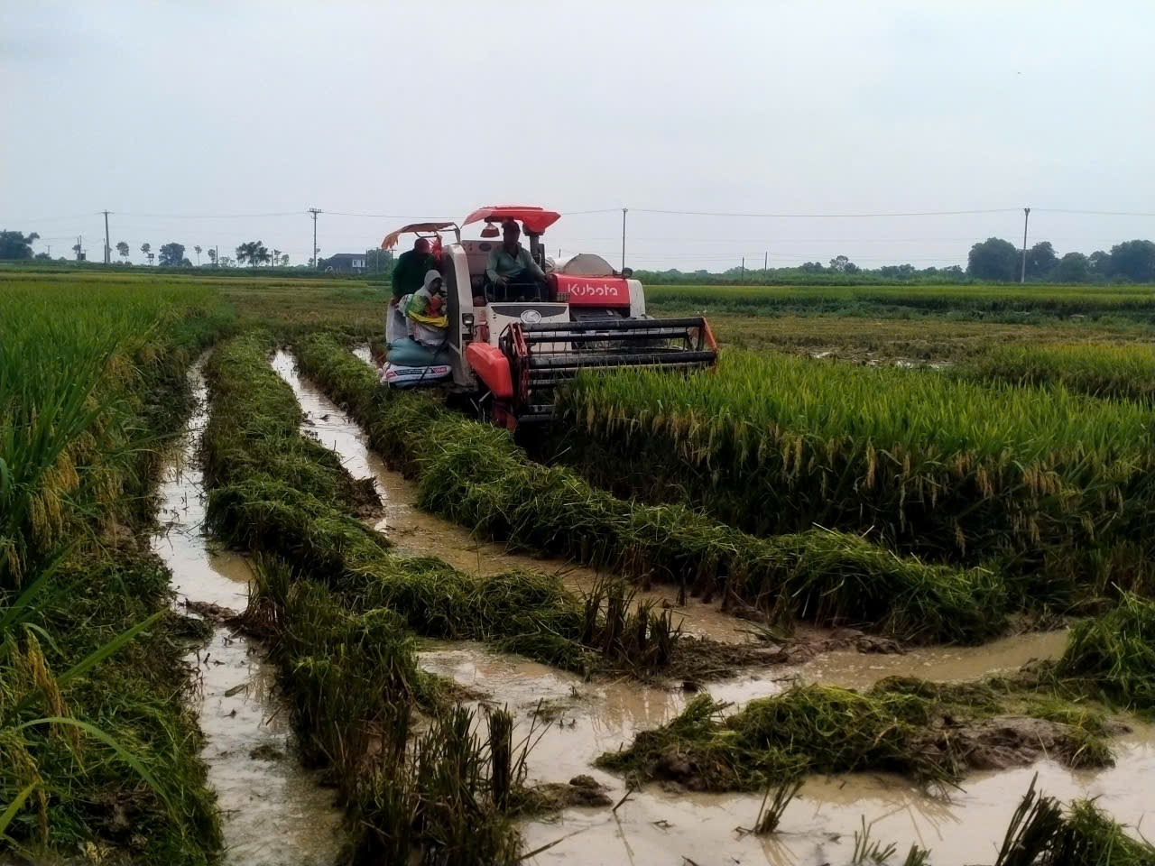 Xã Xuân Hòa quyết tâm không để đất sản xuất nông nghiệp bỏ hoang trong vụ Thu Mùa năm 2026
