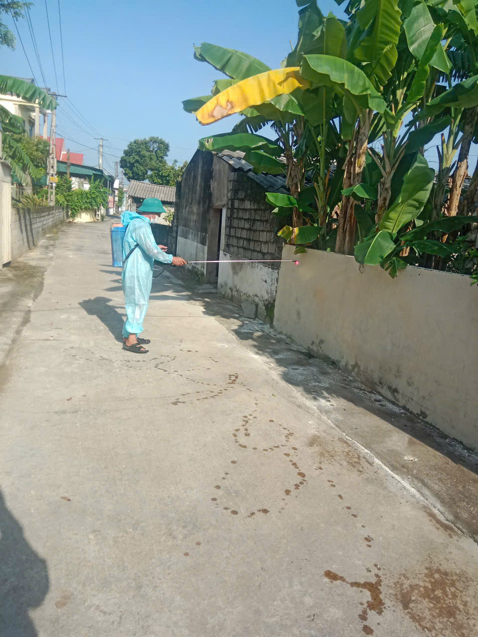 Anh-tin-bai