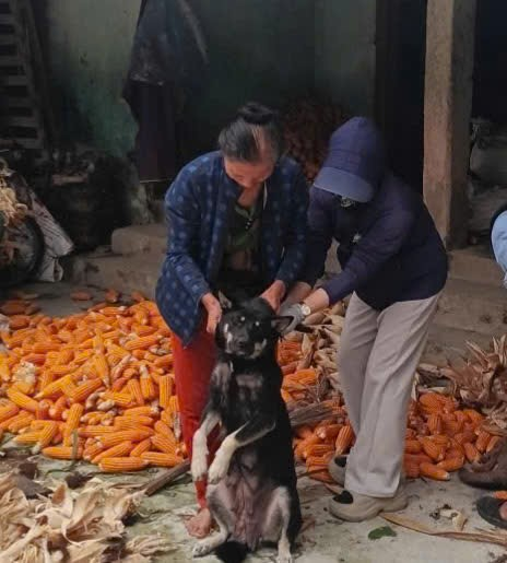 BÀI TUYÊN TRUYỀN CÔNG TÁC  TIÊM PHÒNG CHO ĐÀN GIA SÚC, GIA CẦM VÀ PHÒNG DẠI CHO CHÓ MÈO