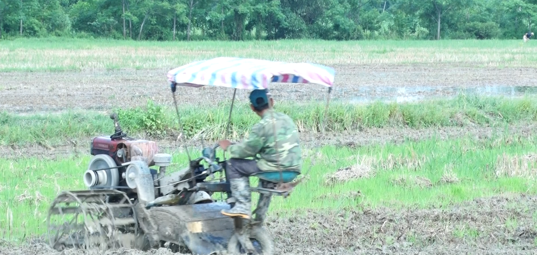 Vụ Thu-Mùa 2026 xã Thọ Xuân phấn đấu gieo trồng 1.340 ha, tổng sản lượng lương thực có hạt đạt trên 7.416 tấn