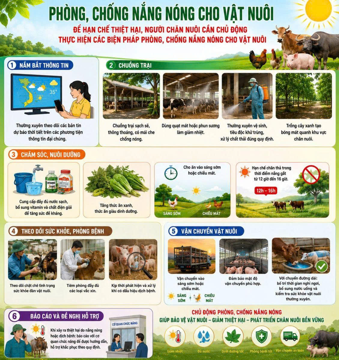 Thọ Xuân chủ động phòng, chống nắng nóng cho đàn vật nuôi trên địa bàn