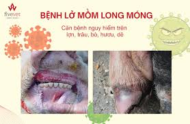 Cảnh báo cao độ: Vi rút Lở mồm long móng SAT1 áp sát, Việt Nam đối mặt nguy cơ lớn