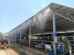 HƯỚNG DẪN PHÒNG, CHỐNG NẮNG NÓNG CHO ĐÀN VẬT NUÔI TRÊN ĐỊA BÀN XÃ THIỆU TRUNG NĂM 2026