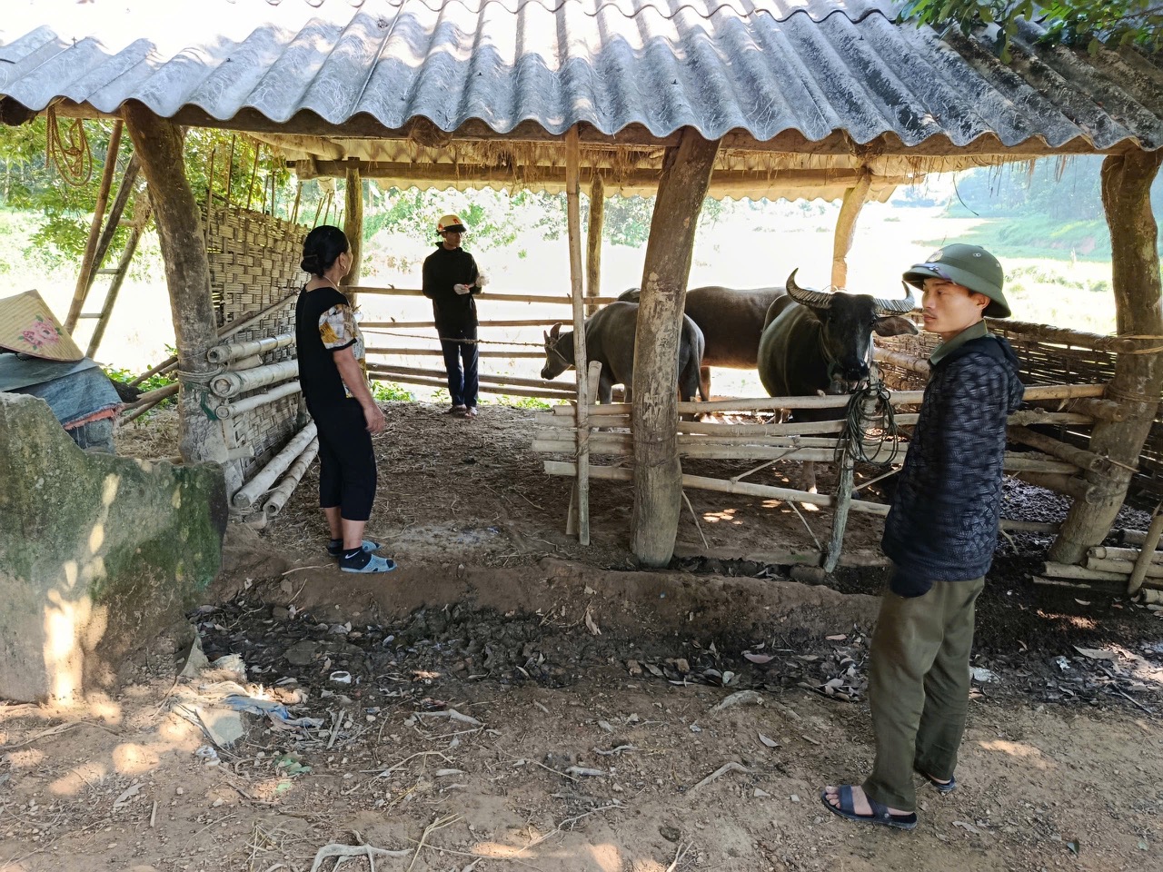 Anh-tin-bai