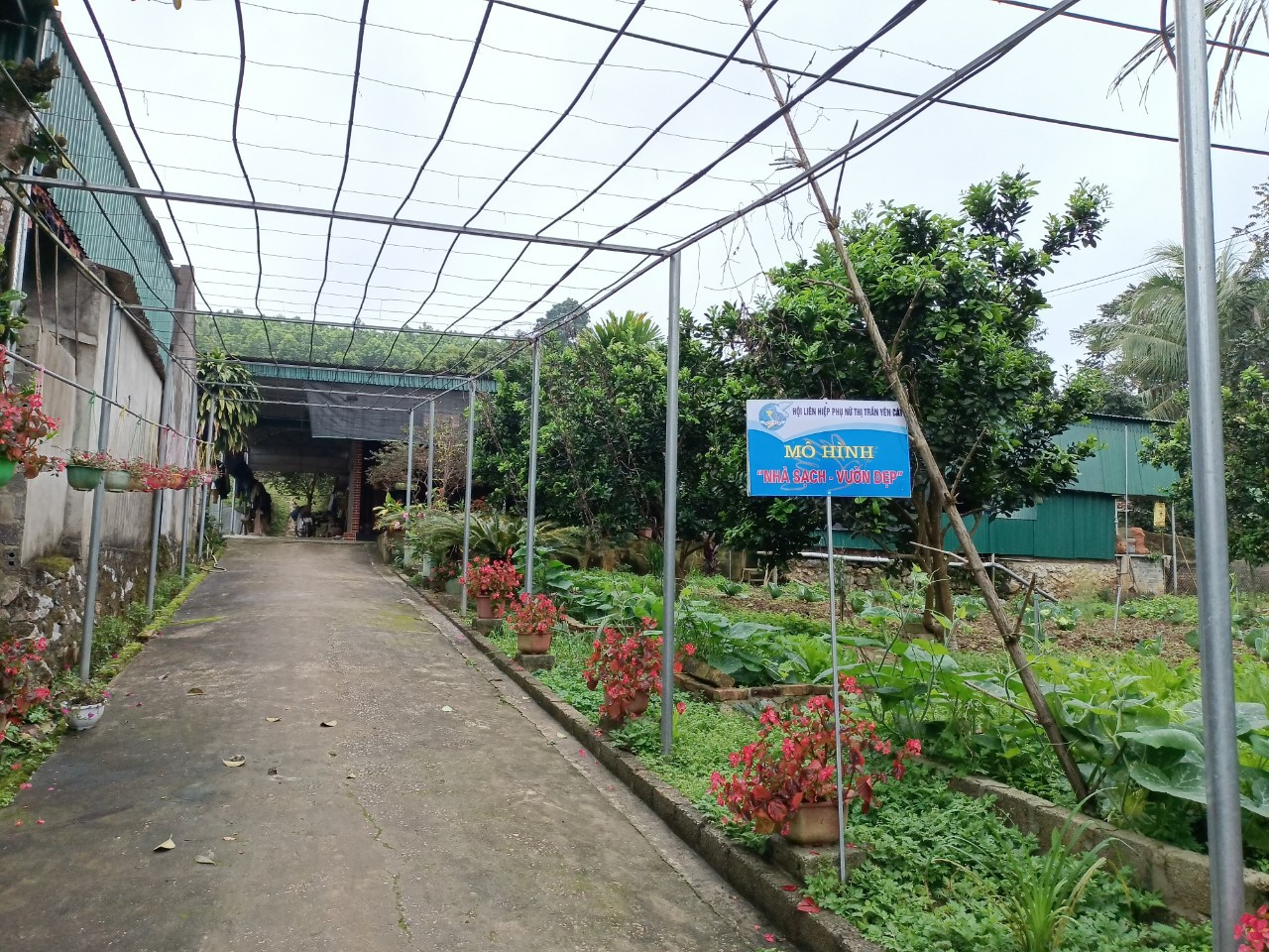Anh-tin-bai