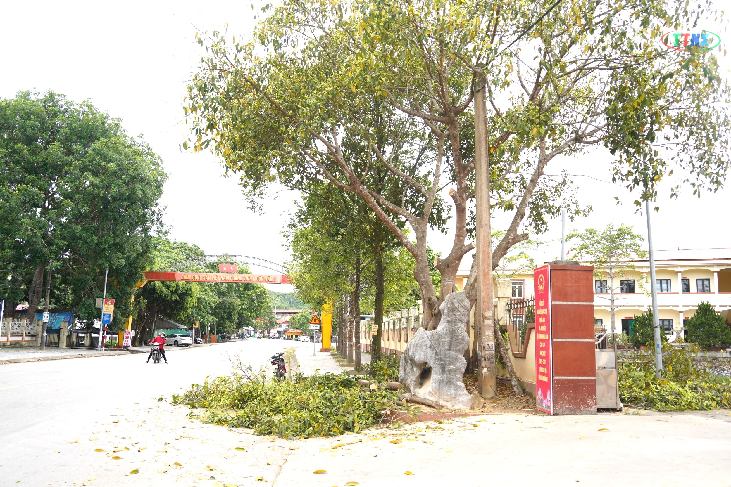 Anh-tin-bai