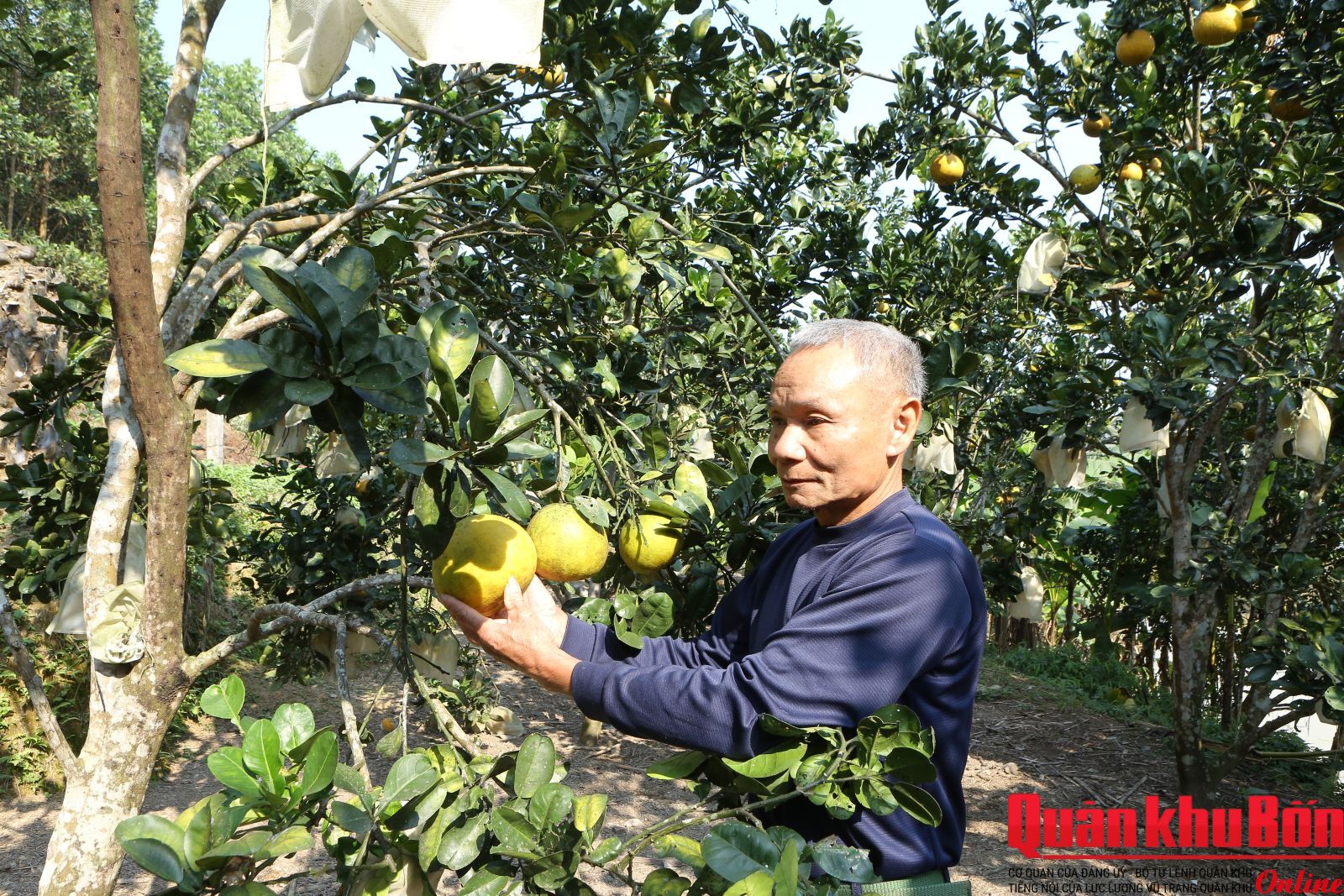 Cựu chiến binh Lê Hữu Giám làm kinh tế giỏi ở vùng cao Thượng Ninh