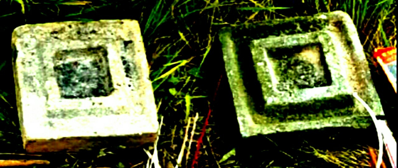 Hình ảnh 1