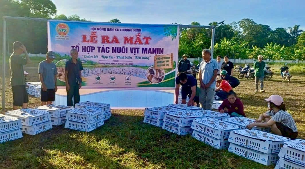 Hội Nông dân xã Thượng Ninh ra mắt tổ hợp tác nuôi vịt MAVIN