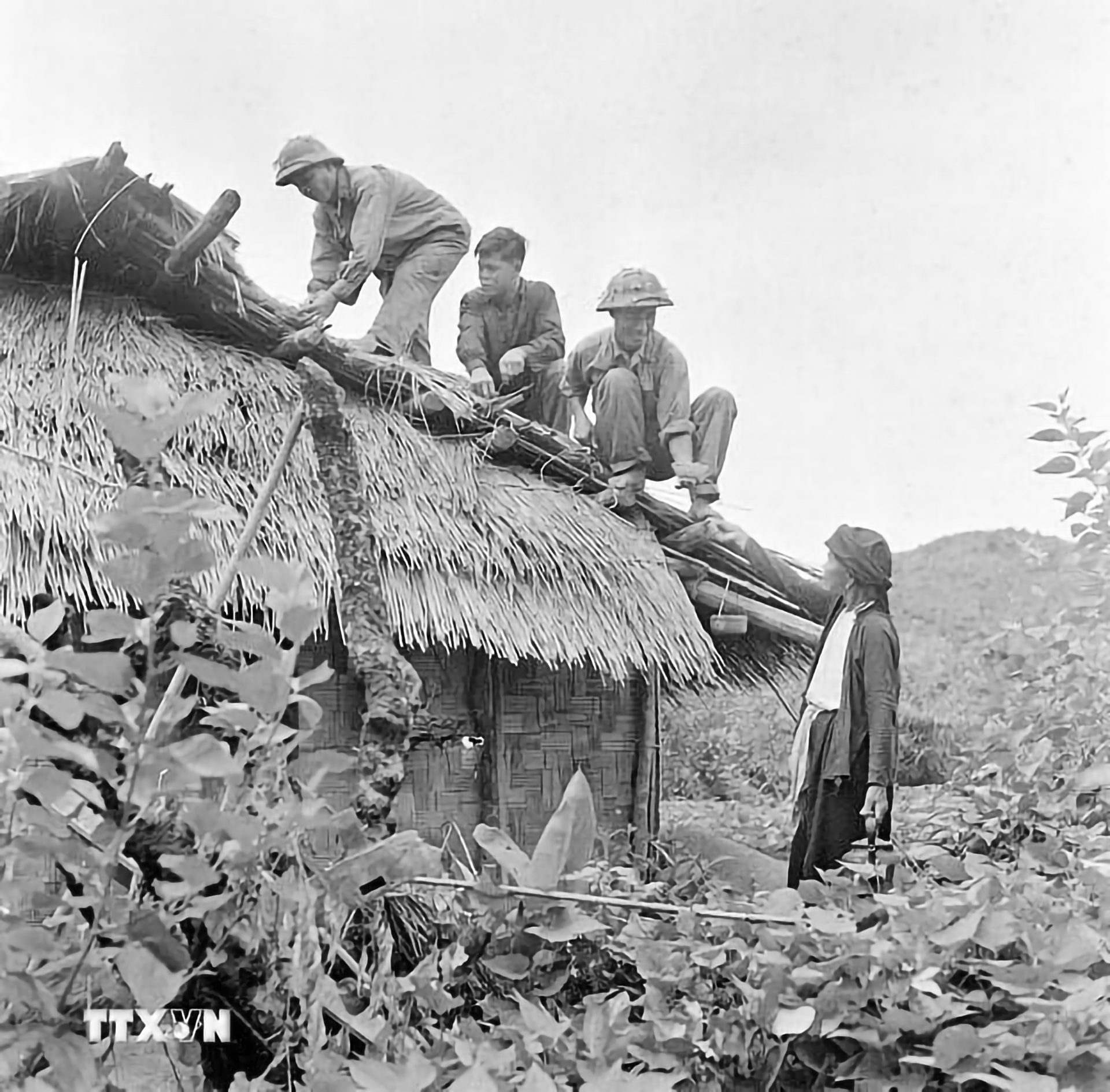 Anh-tin-bai