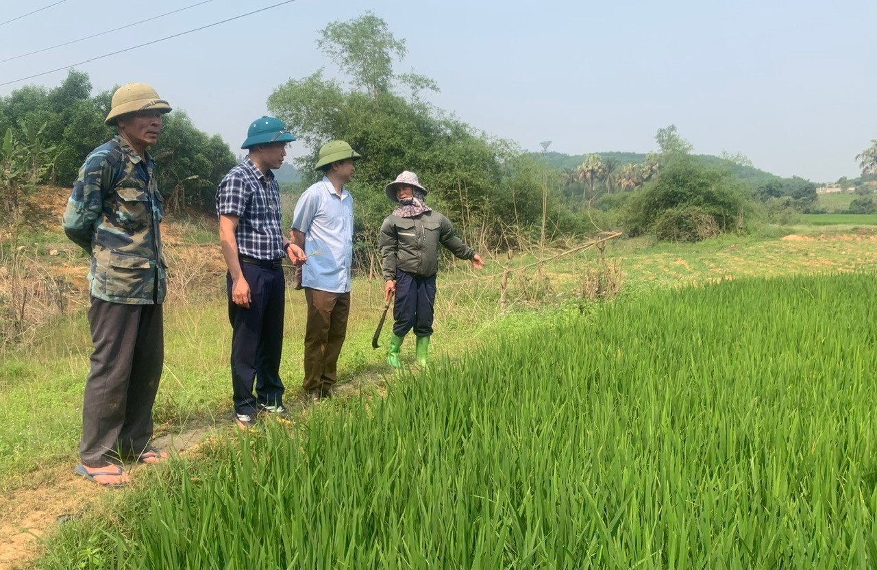 Lãnh đạo xã kiểm tra sản xuất lúa vụ hè thu tại Đồng Lườn.