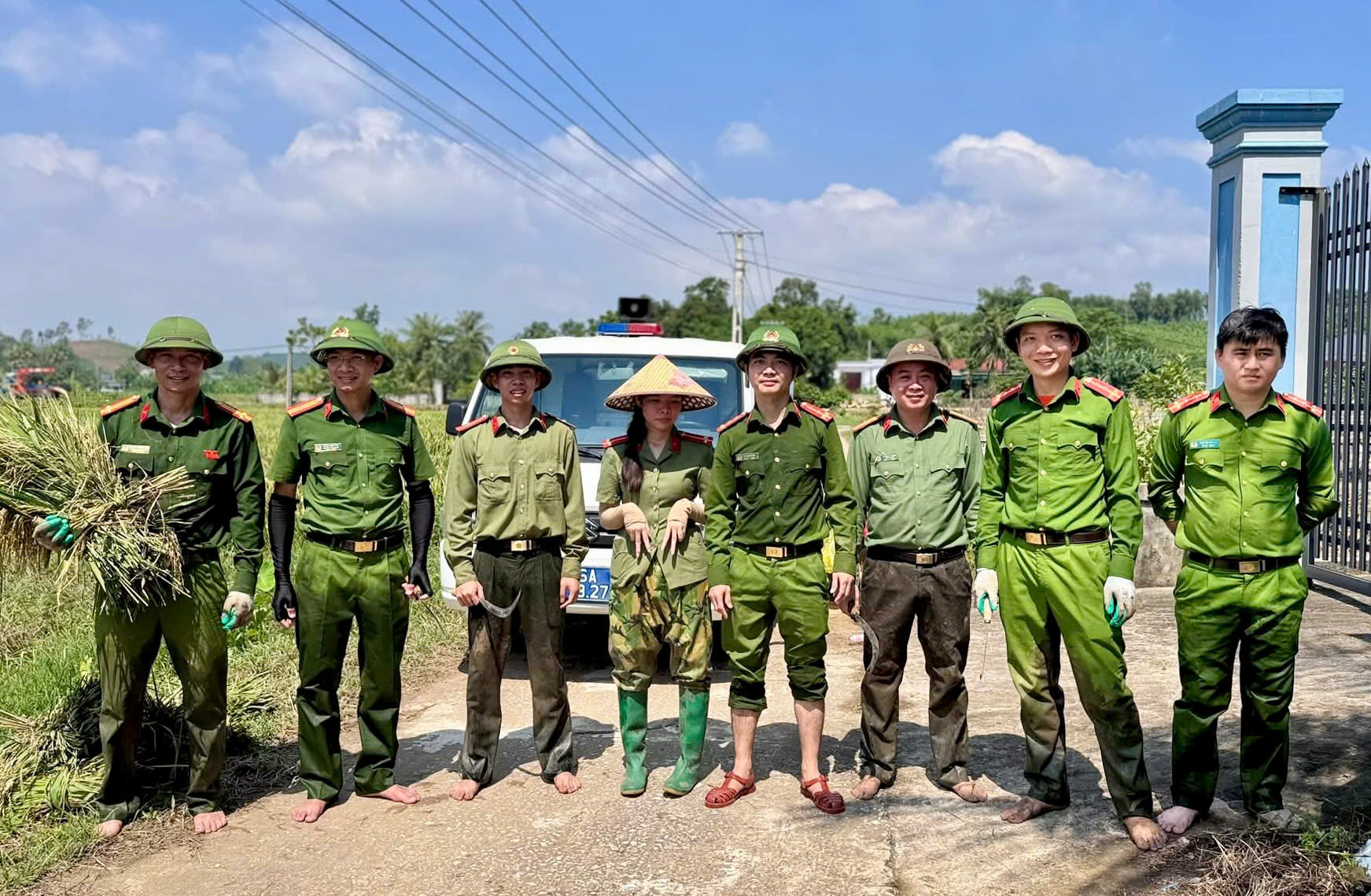 Công an xã Mậu Lâm xuống đồng giúp dân thu hoạch lúa sau mưa lũ