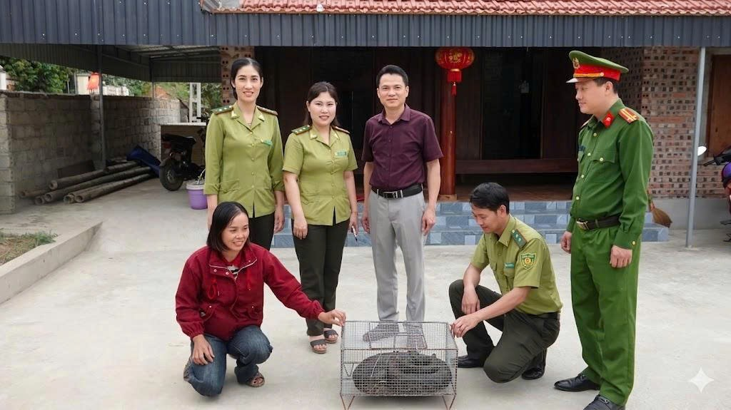 Bàn giao cá thể trăn đất quý hiếm về rừng – lan tỏa ý thức bảo vệ động vật hoang dã