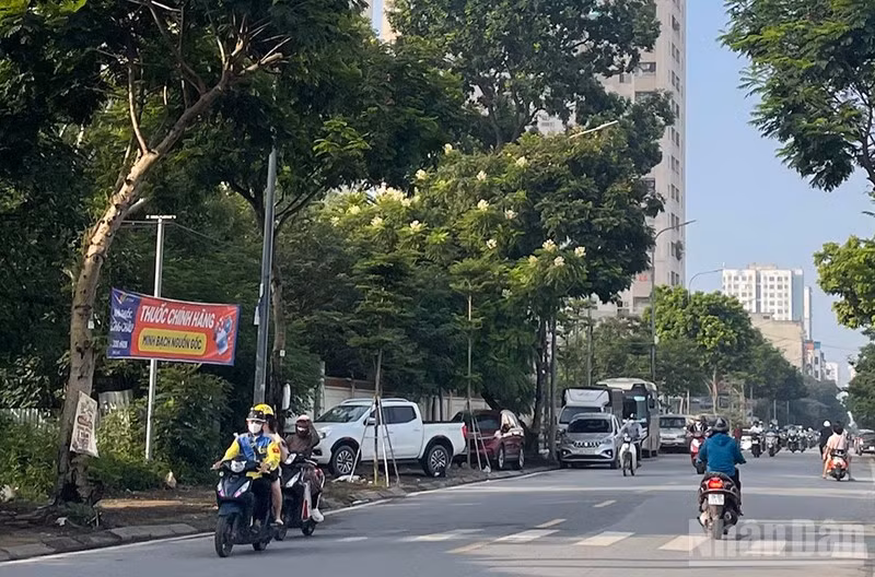 Thời tiết ngày 15/7: Bắc Bộ ngày nắng nóng, Nam Bộ có mưa rào và dông