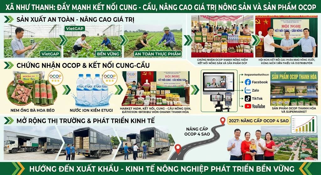 Xã Như Thanh đẩy mạnh kết nối cung - cầu, nâng cao giá trị nông sản và sản phẩm OCOP