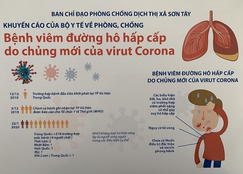 corona1.jpg