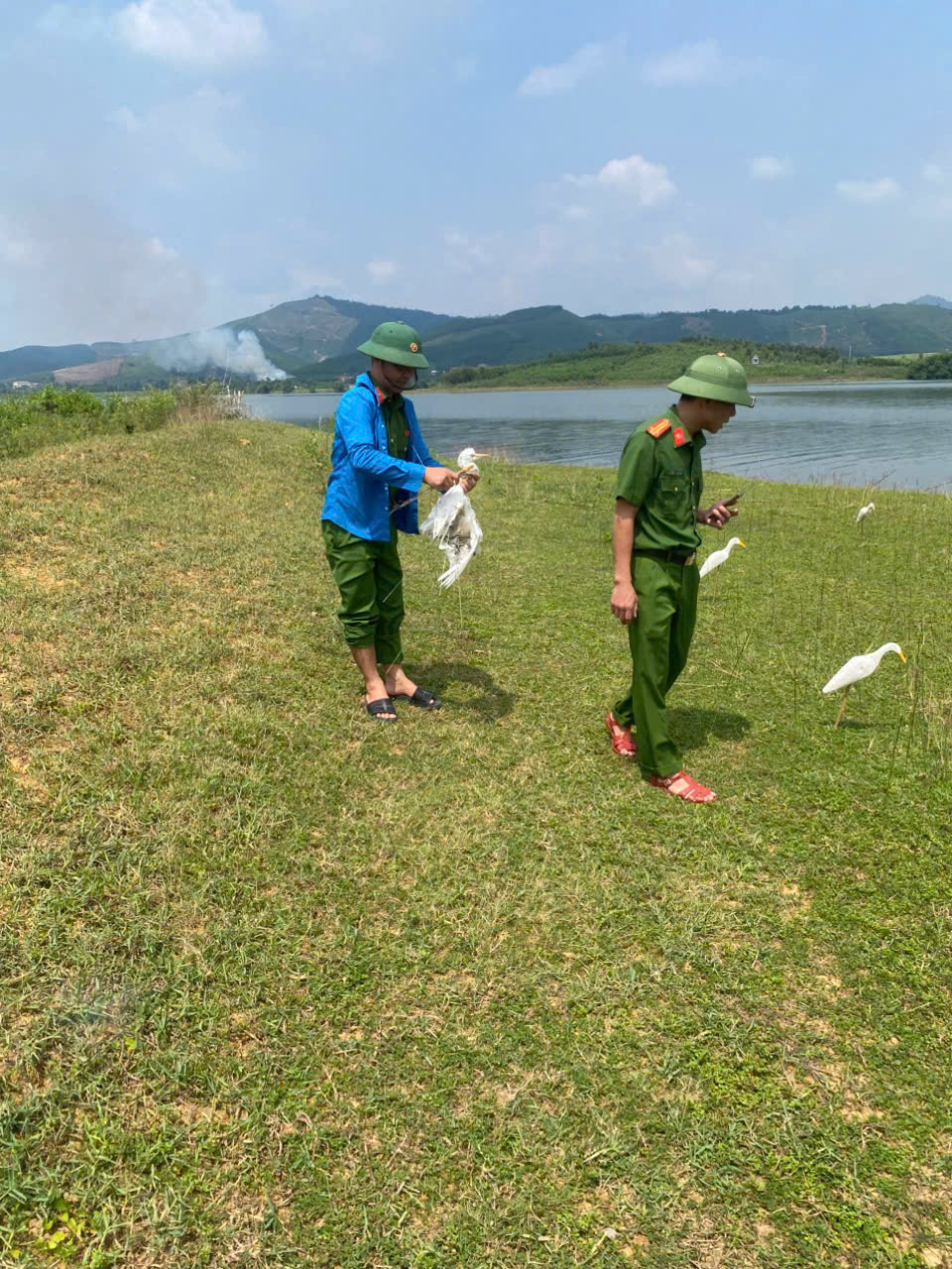 Bài tuyên truyền về công tác xử lý các hành vi săn bắt, tận diệt chim trời (cò, vạc, chim …)