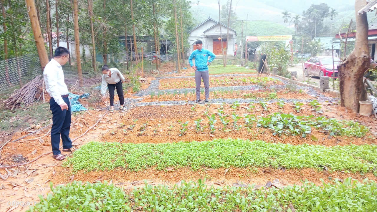 Thanh Phong triển khai kế hoạch phát triển kinh tế từ vườn hộ năm 2026