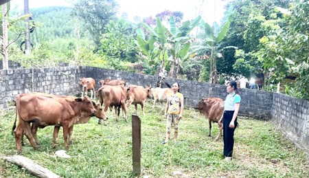 Anh-tin-bai