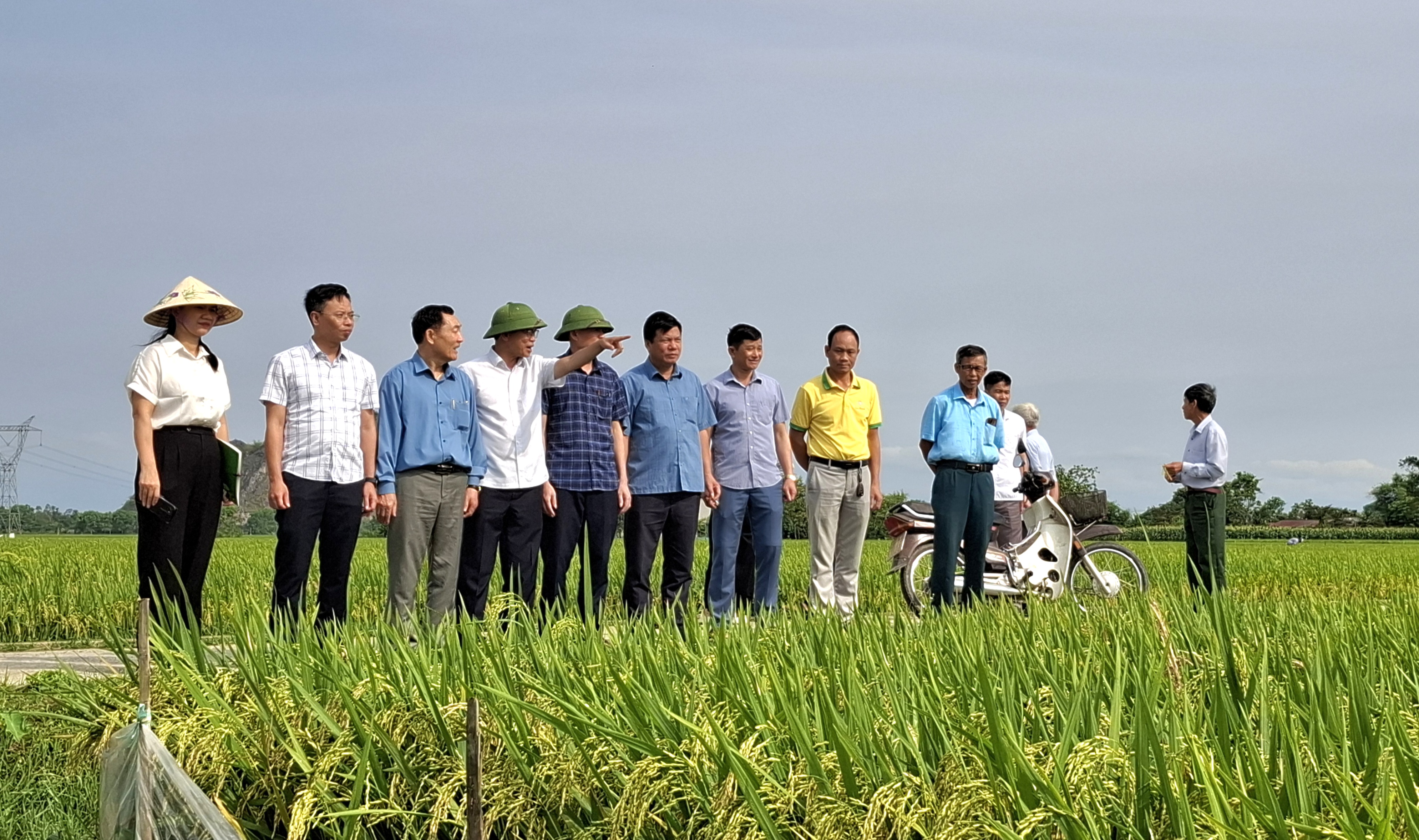 UBND XÃ THIỆU TIẾN: TỔ CHỨC HỘI NGHỊ ĐÁNH GIÁ MÔ HÌNH TÍCH TỤ, TẬP TRUNG ĐẤT ĐAI SẢN XUẤT LÚA CHẤT LƯỢNG CAO