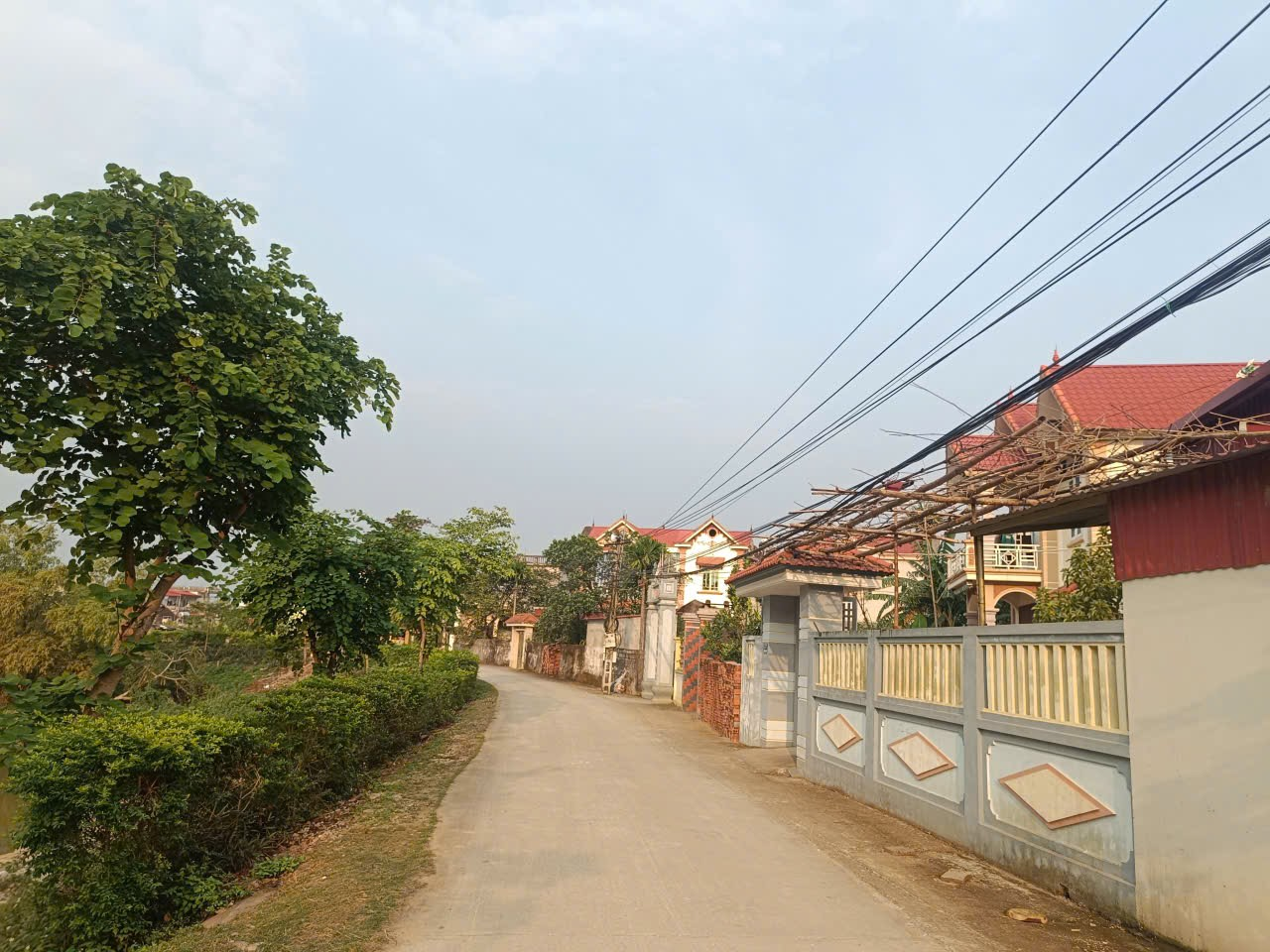 Picture 7