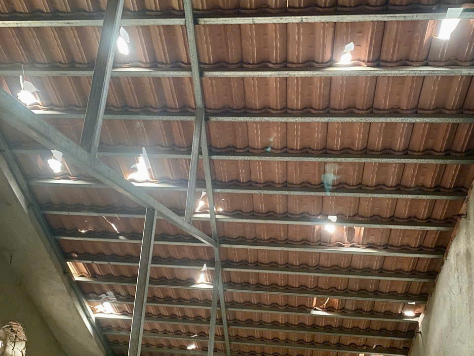 Picture 5