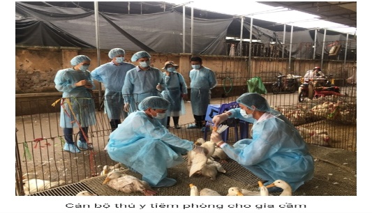 https://cdn.dongnai.gov.vn/uploads/thuanloi/news/2025_12/image-20251218075648-1.jpeg?t=1786937462