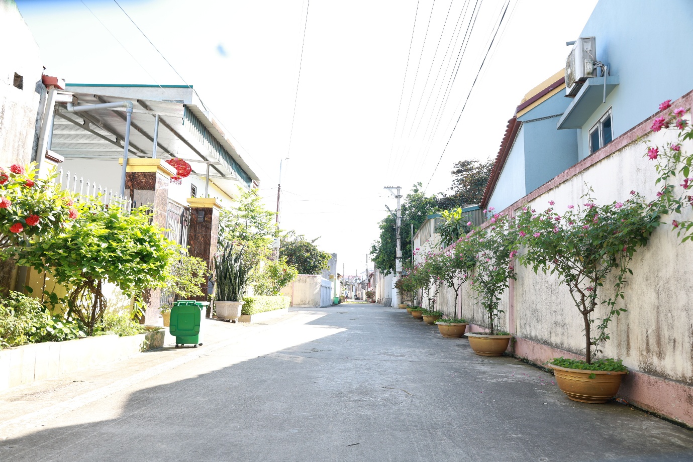 Hình ảnh 2