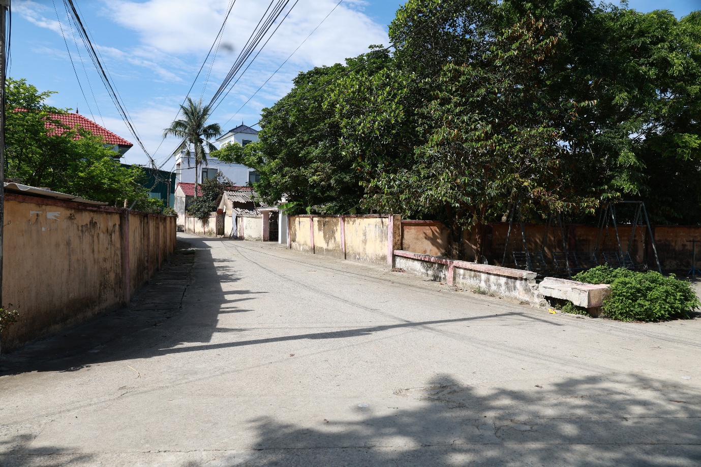 Hình ảnh 5