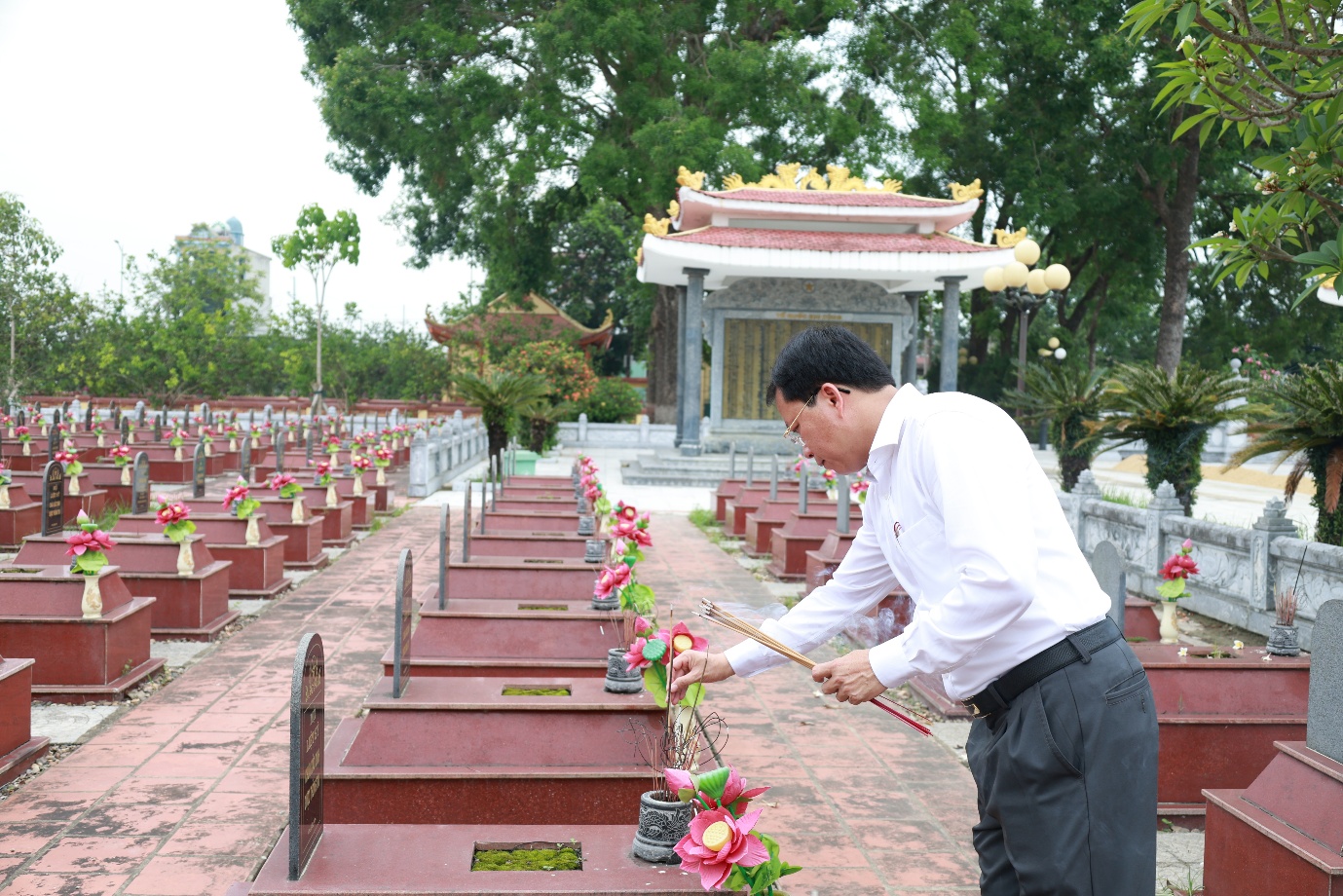 Hình ảnh 11