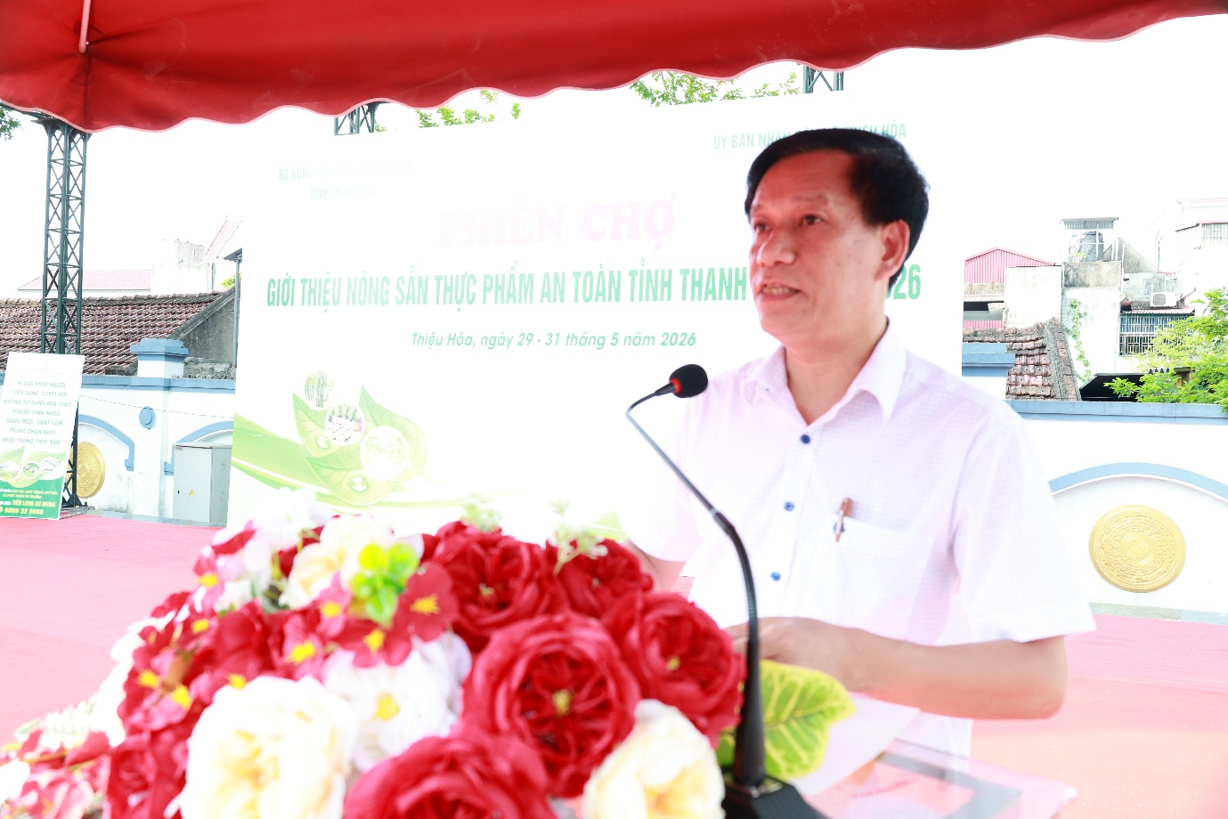 Hình ảnh 12