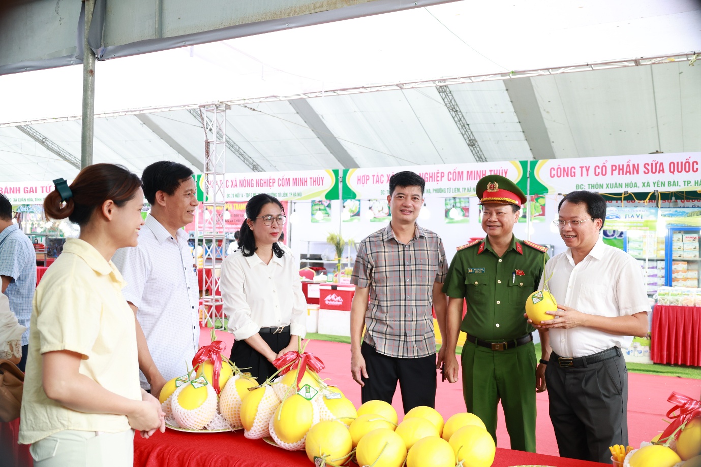 Hình ảnh 14