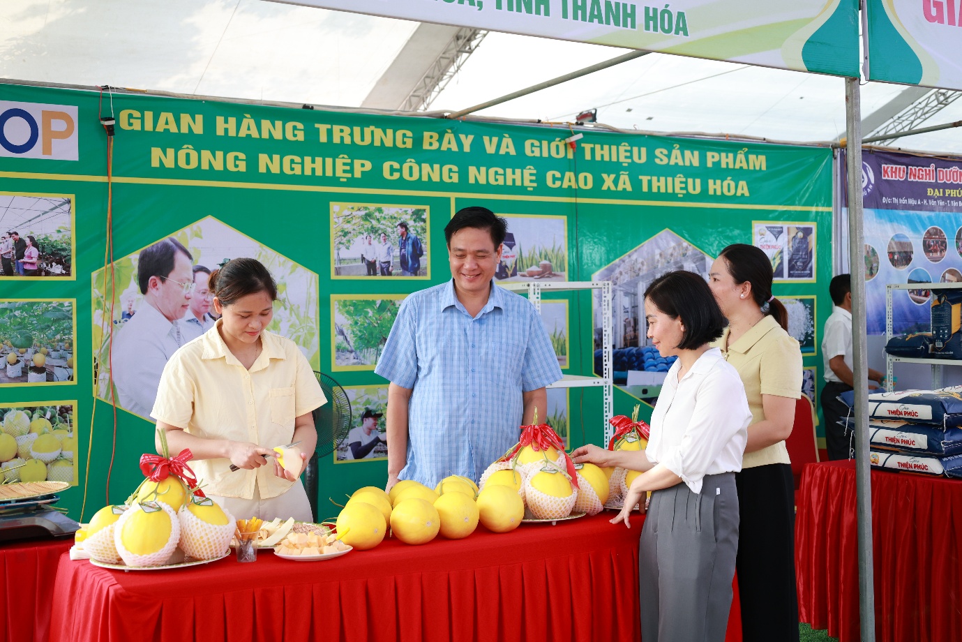 Hình ảnh 16