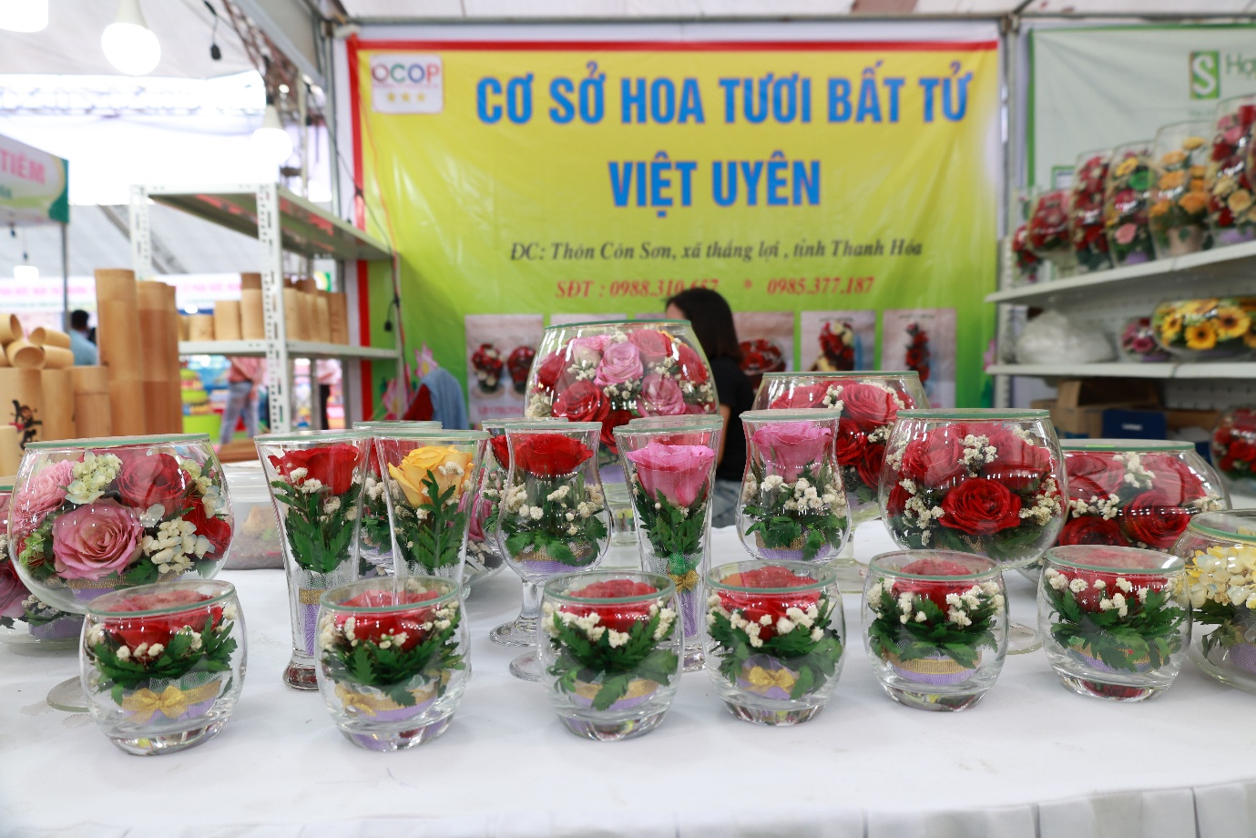 Hình ảnh 31