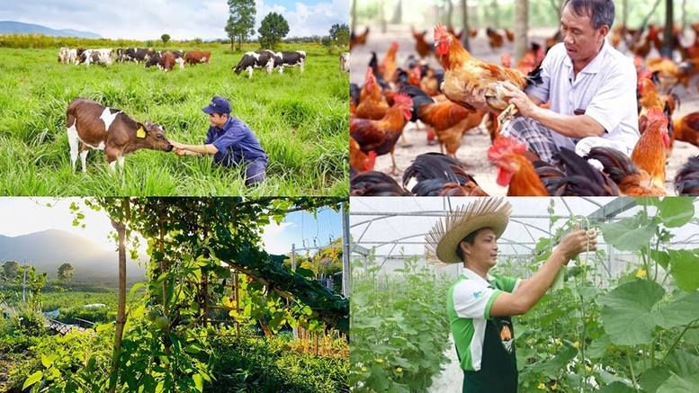 Chính sách mới có hiệu lực từ tháng 8/2026- Ảnh 1.