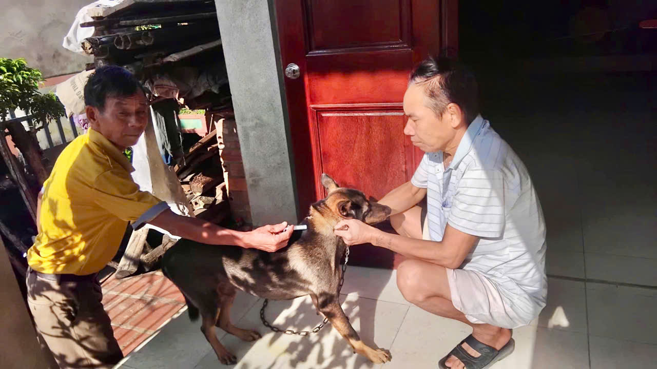 Xã Thiệu Hóa đẩy nhanh tiến độ tiêm phòng, bảo vệ an toàn đàn gia súc, gia cầm