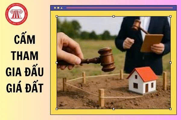 Cấm tham gia đấu giá quyền sử dụng đất đối với bà  Nguyễn Thị Thủy
