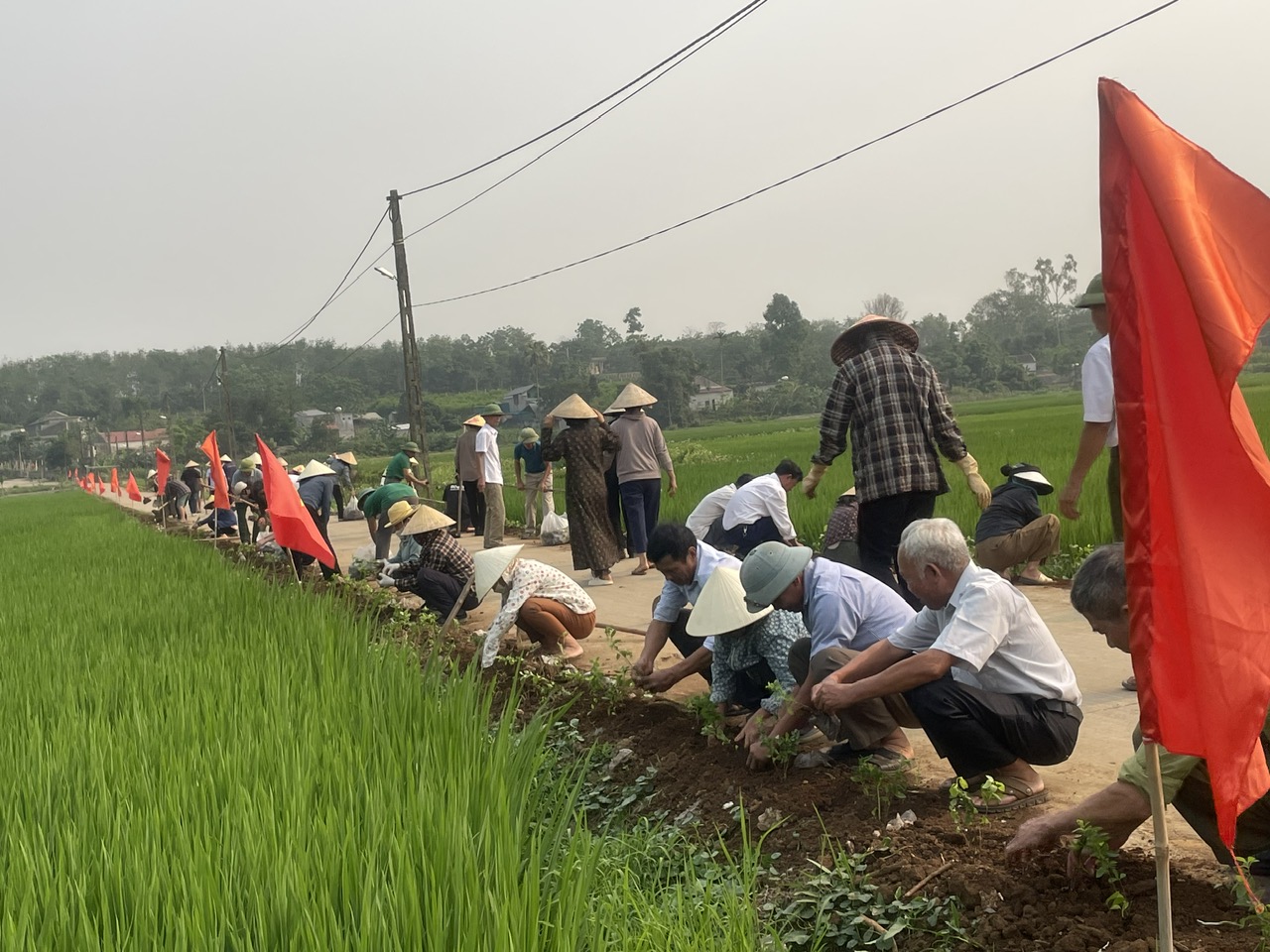HỘI NÔNG DÂN XÃ CÔNG CHÍNH PHÁT ĐỘNG TRỒNG CÂY HÀNG RÀO XANH- CÂY CẢNH TẠI THÔN KHẢ LA, XÃ CÔNG CHÍNH 