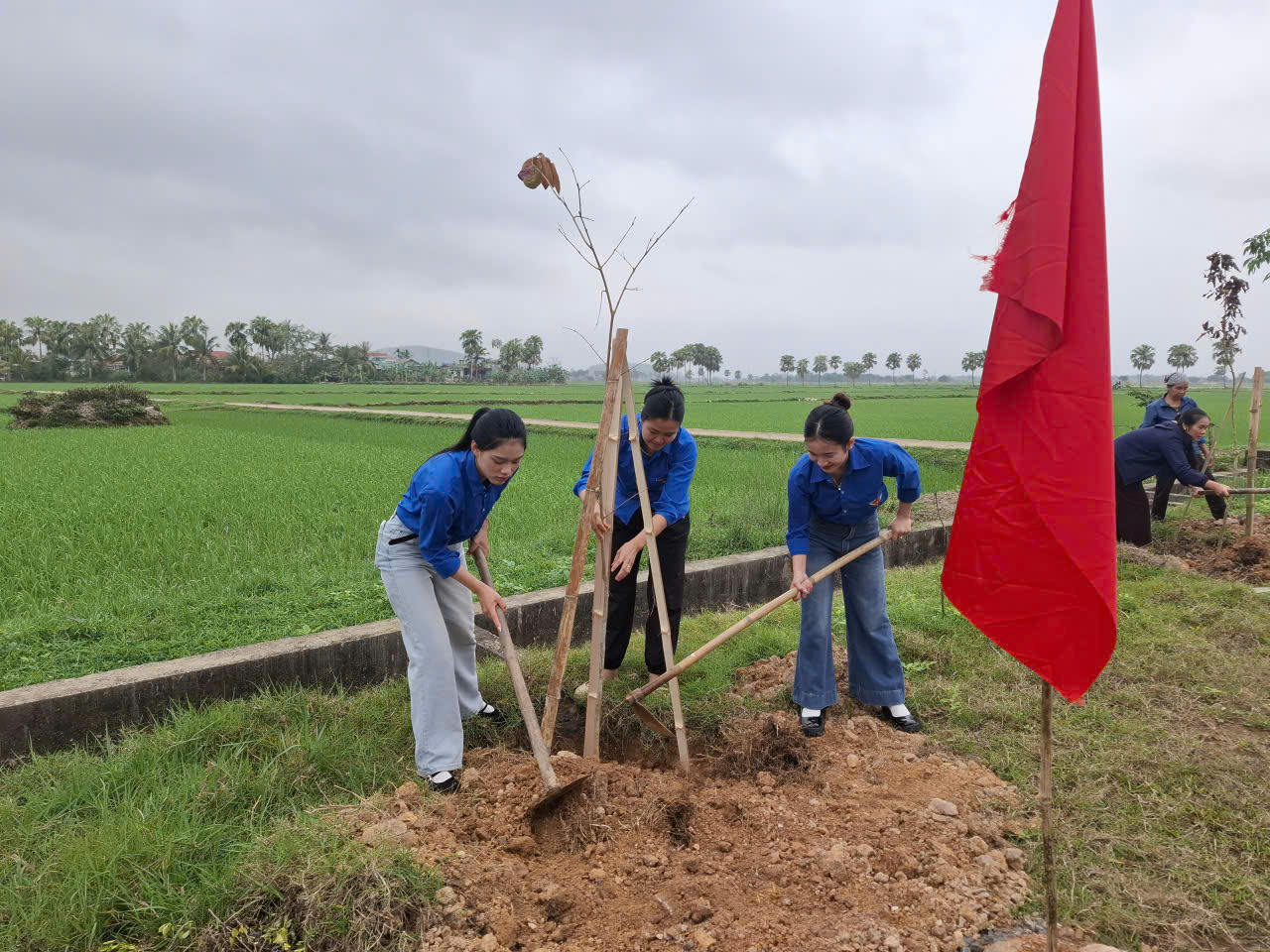 Description: C:\Users\User\Desktop\trong cay\z7552712391622_c3f96008ef431690cde8a35044c8d262.jpg