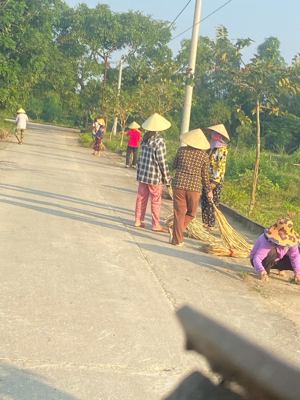 tân giao.jpg