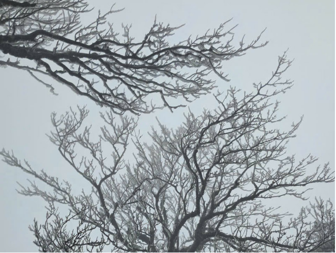 Tăng cường tuyên truyền về ảnh hưởng bất lợi của thời tiết 