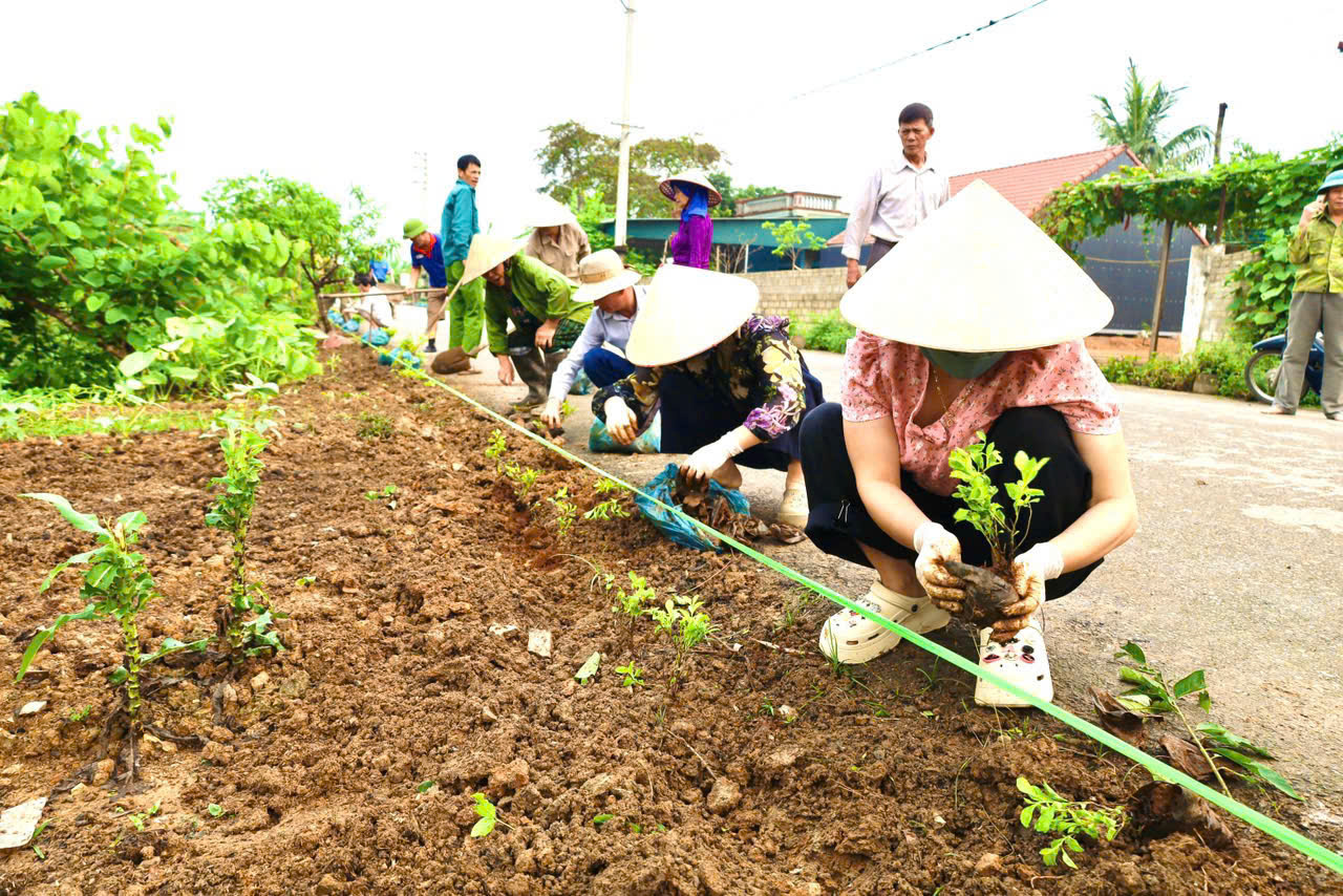 Xã Nông Cống tiếp tục thực hiện phong trào xây dựng khu dân cư “sáng – xanh – sạch – đẹp – an toàn
