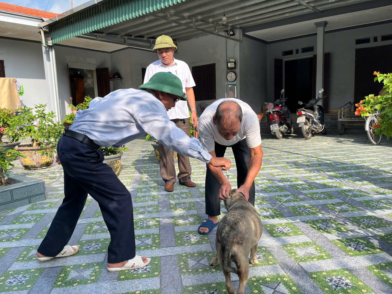 Xã Quảng Ninh tổ chức tiêm phòng cho đàn gia súc, gia cầm và phòng dại cho đàn chó đợt 2, năm 2025