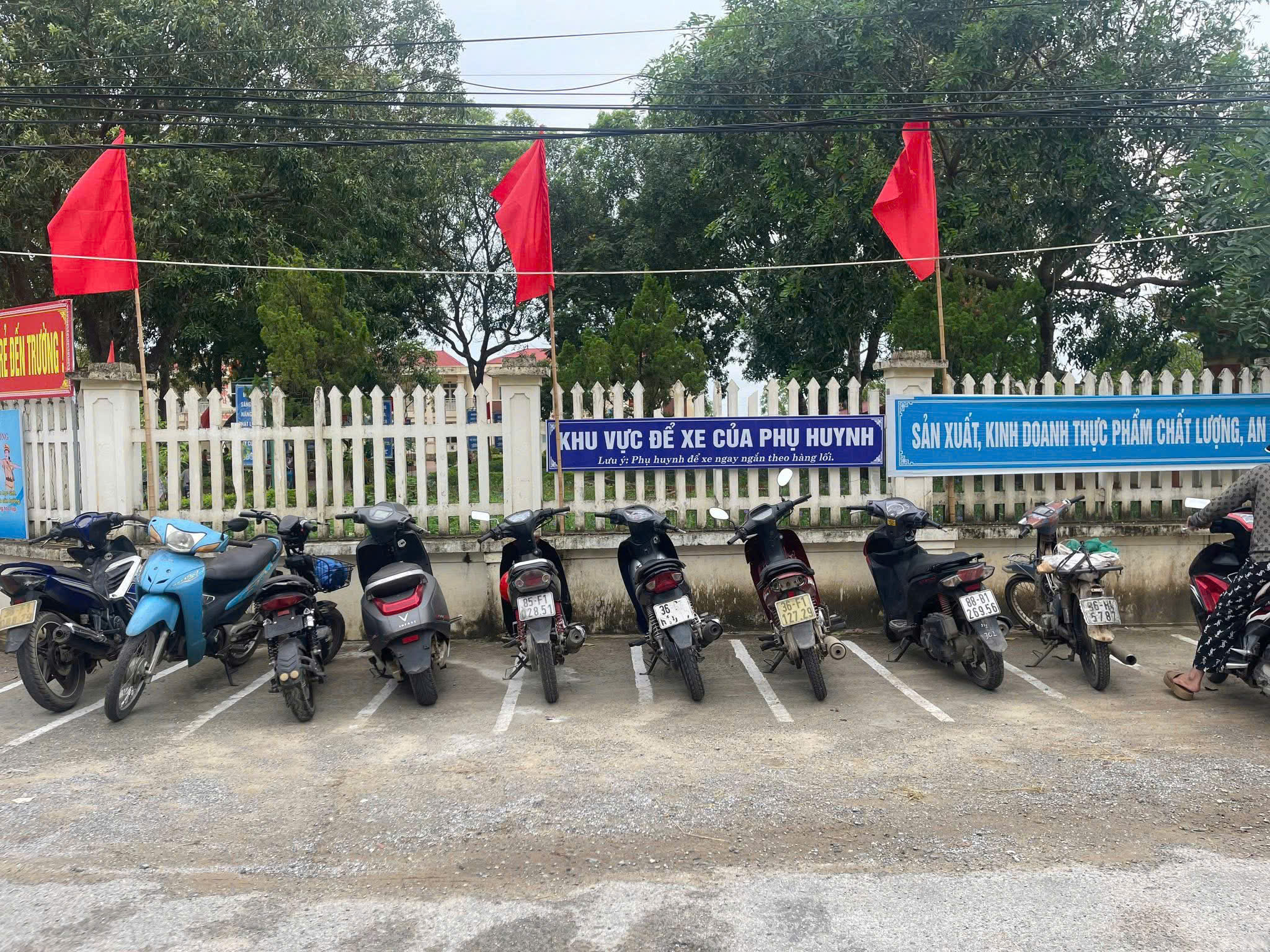 Anh-tin-bai
