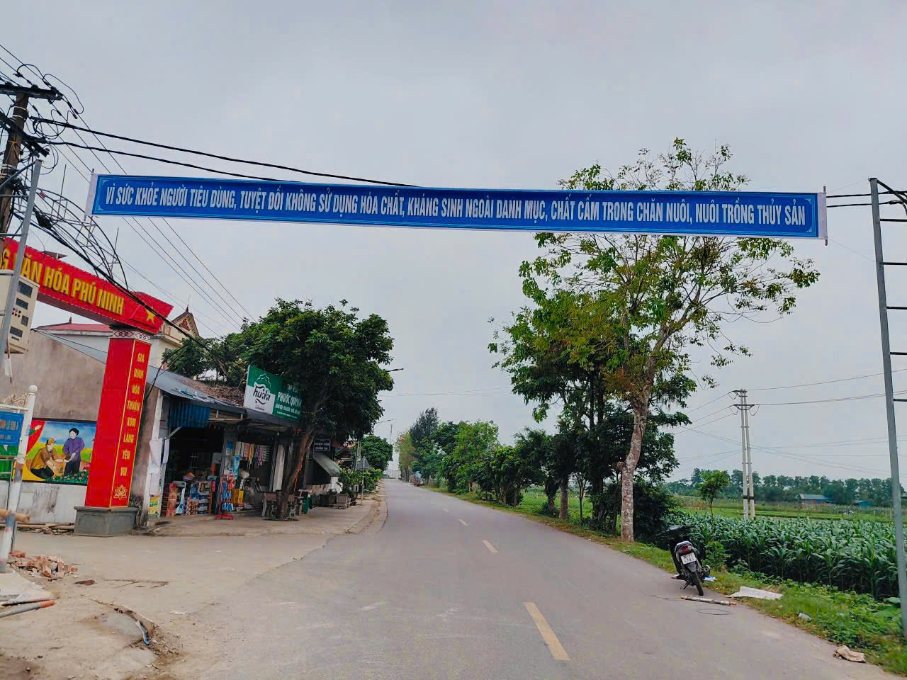 Anh-tin-bai