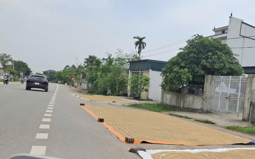 UNBND phường Quảng Phú thông báo người dân không chiếm dụng lòng lề đường để phơi lúa, rơm rạ và nông sản gây mất ATGT trên địa bàn phường